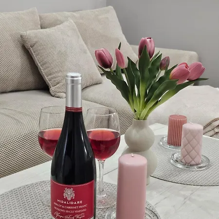 Apartmán Metropolitan 89 With Free Parking Ac Center *