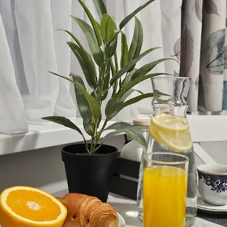 Metropolitan 89 With Free Parking Ac Center * Sofie