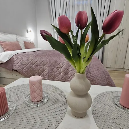 Metropolitan 89 With Free Parking Ac Center Sofie